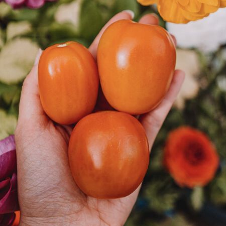 Little Napoli, Tomato Seeds - Packet image number null
